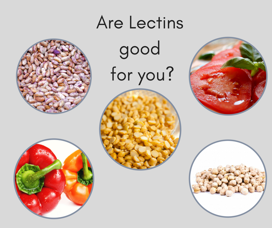 Lectins - What Are They? Love Them or Leave Them? | Willow Wellness ...